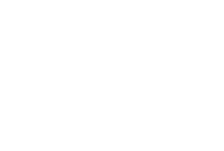 生レモンがっちりサワー